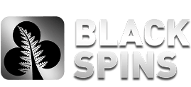 black spins casino casinokokemus logo png